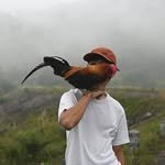 448256248 471232368728710 7032930700065117185 n